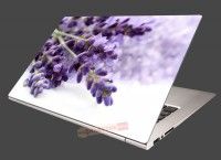 Nlepka na notebook Kvet levandule