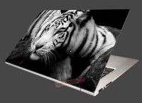 Nlepka na notebook Sibrsky tiger