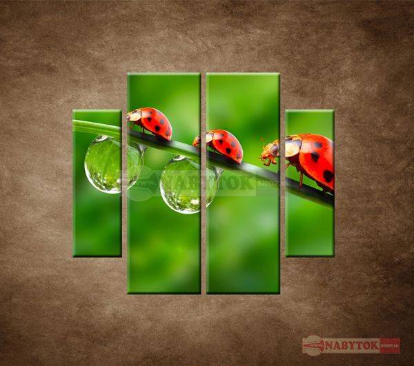 OBRAZ 4 DIELNY Lienky na liste 100X90 CM