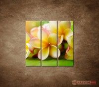 OBRAZ 3 DIELNY LT ORCHIDEA 90X90