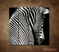 OBRAZ 4 DIELNY Zebra 120X120 CM