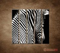 OBRAZ 5 DIELNY Zebra 100X100 CM