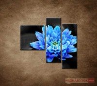 OBRAZ 3 DIELNY Modr kvet na kameoch 110X90 CM