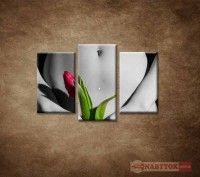 OBRAZ 3 DIELNY Dieva s tulipnom 75X50CM