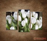 OBRAZ 3 DIELNY Biele tulipny 75X50 CM