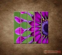 OBRAZ 5 DIELNY TROPICK KVET 100X100 CM