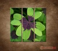 OBRAZ 3 DIELNY MAKRO - TVORLSTOK 90X90 CM