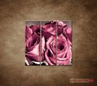 OBRAZ 3 DIELNY KYTICA RU 90X90