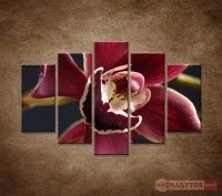 OBRAZ 5 DIELNY BORDOV ORCHIDEA 150X100 CM