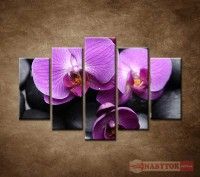 OBRAZ 5 DIELNY Ruov orchidey 150X100 CM