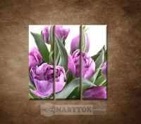 OBRAZ 3 DIELNY NEN TULIPNY 90X90