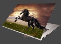Nálepka na notebook Čierny kôň