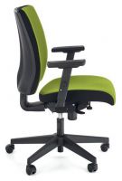poah: ltka zelen, Kancelrska stolika POP  - ilustran obrzok