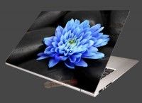 Nlepka na notebook Modr kvet na kameoch