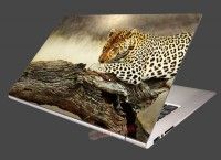 Nlepka na notebook Odpovajci leopard
