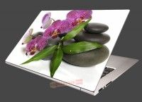 Nlepka na notebook Orchidea na kameoch