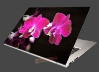 Nlepka na notebook Ruov orchidea na iernom pozad