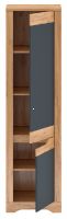 skria FIDEL V2 Prav - vntro, farba: dub craft zlat / grafit siv