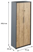 skria RIOMA typ 31 - rozmery, farba: grafit / dub artisan