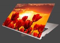 Nlepka na notebook Zpad slnka nad tulipnmi